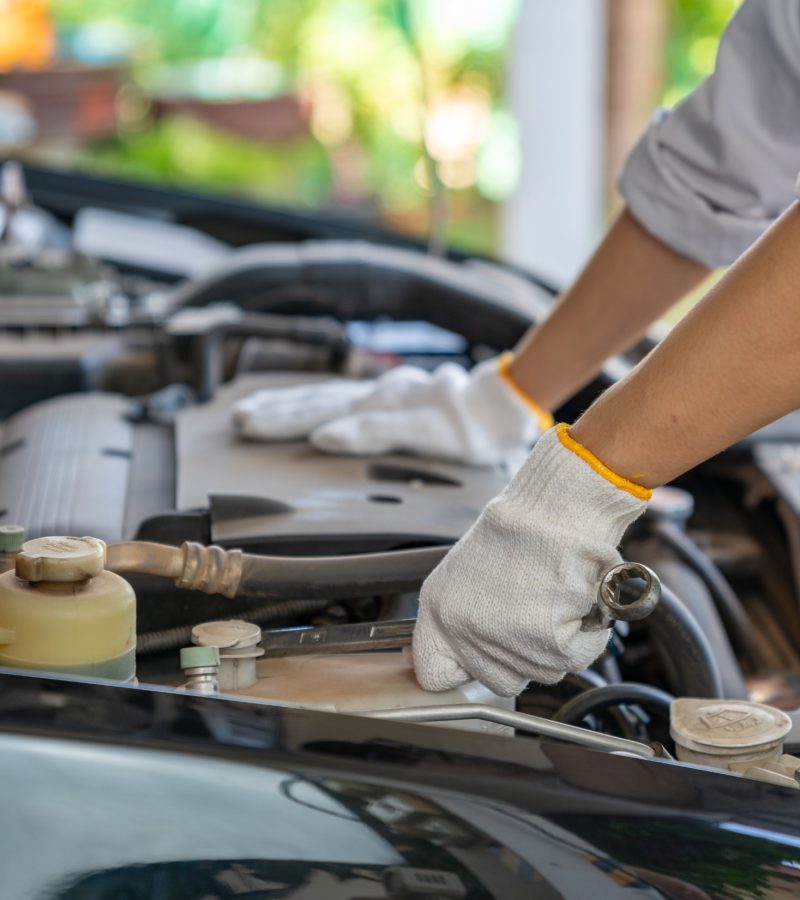 221452233_m_normal_none